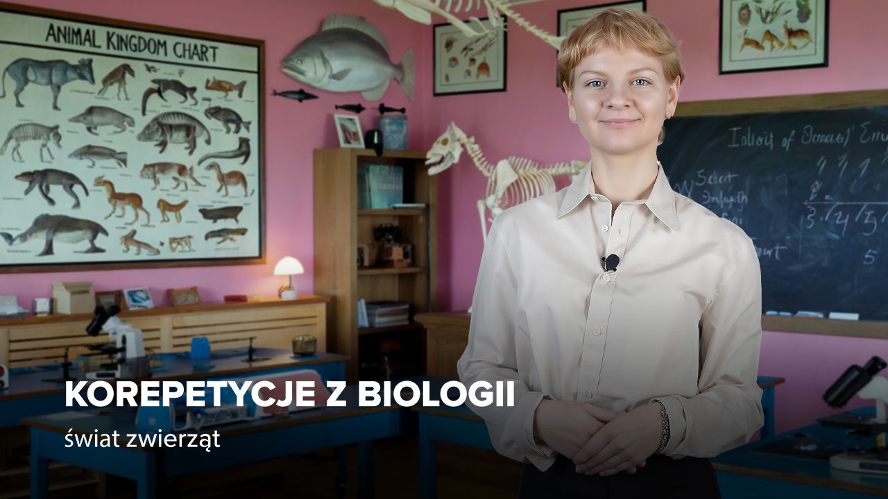 Premiera: Kurs Korepetycje z biologii - świat zwierząt